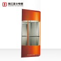 Top Quality Fuji Brand 1.0M/S Panoramic Elevator for small house